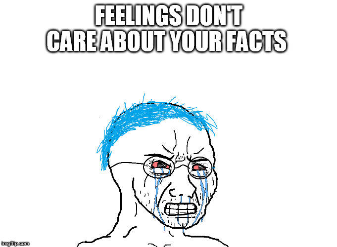 feelings_don_t_care_about_your_facts_by_chaser1992_ddcbe1p-375w-2x.jpg