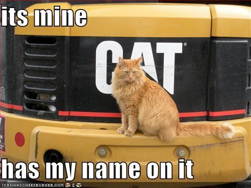its-mine-has-my-name-on-it